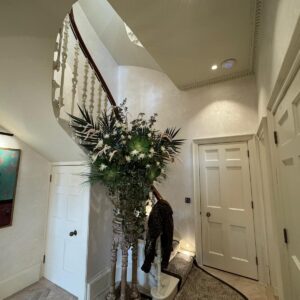 DC Venetian Plaster feature wall finish in Glasgow and Edinburgh